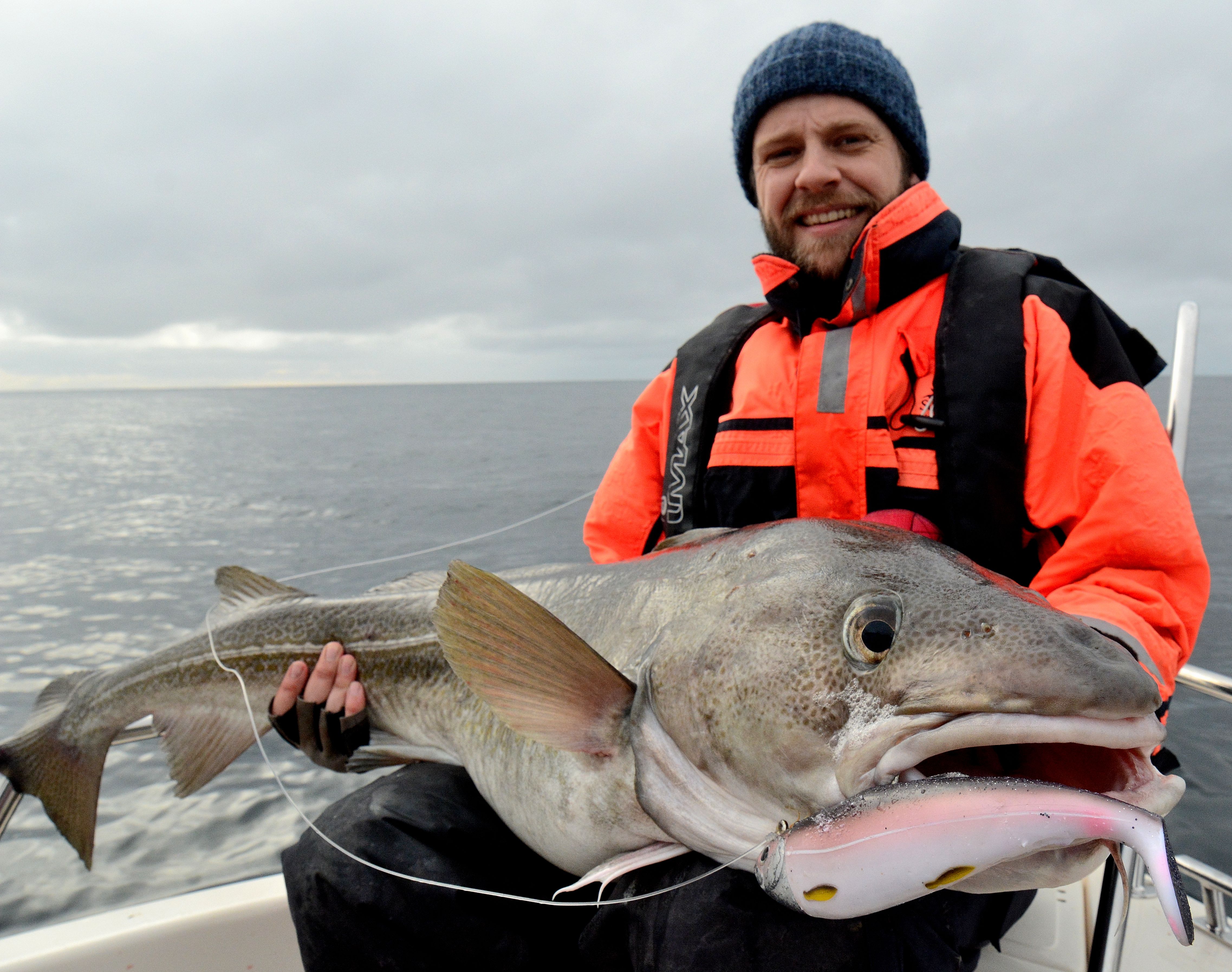 Norgehavsfiske.se Fortsatt galet fiske i Mehamn! - Norgehavsfiske.se
